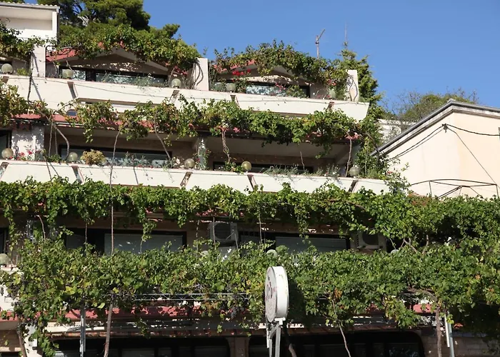 Rib Bed & Breakfast Brela