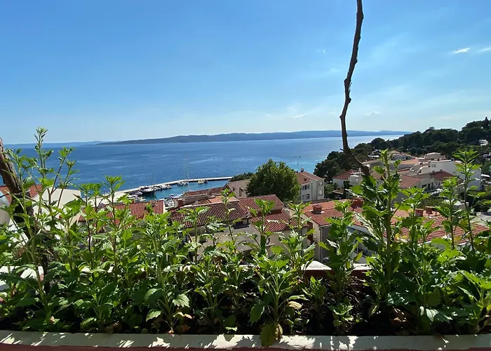 Rib Bed & Breakfast Brela