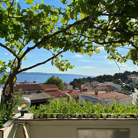 住宿加早餐酒店 Rib