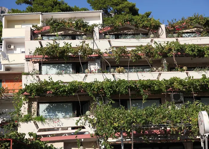 Rib Отель типа 