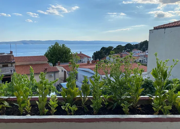 Rib Отель типа 